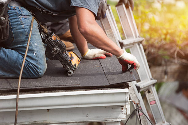 Best Roof Gutter Cleaning  in Grass Valley, CA